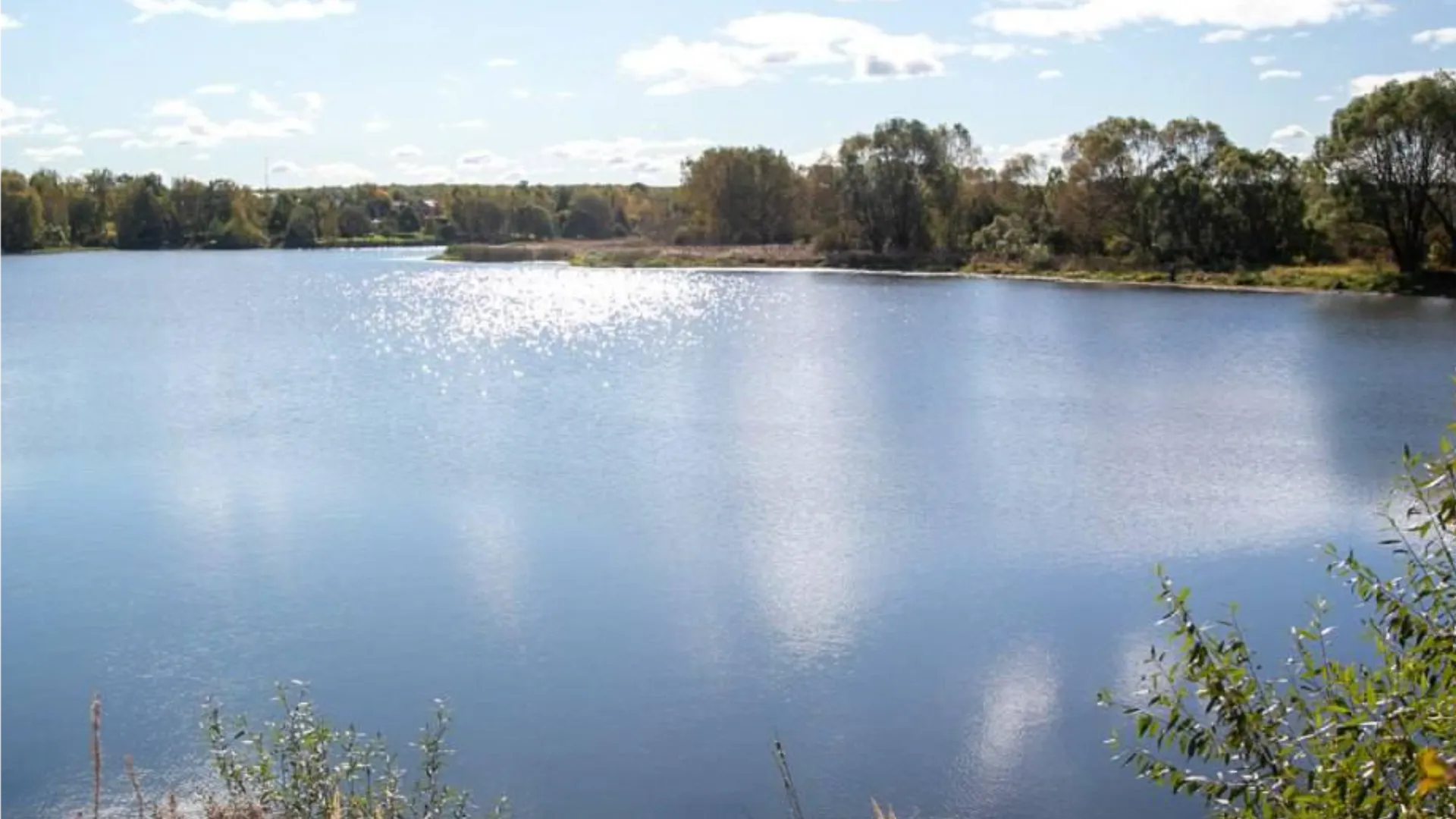 Фото: администрация городского округа Коломна