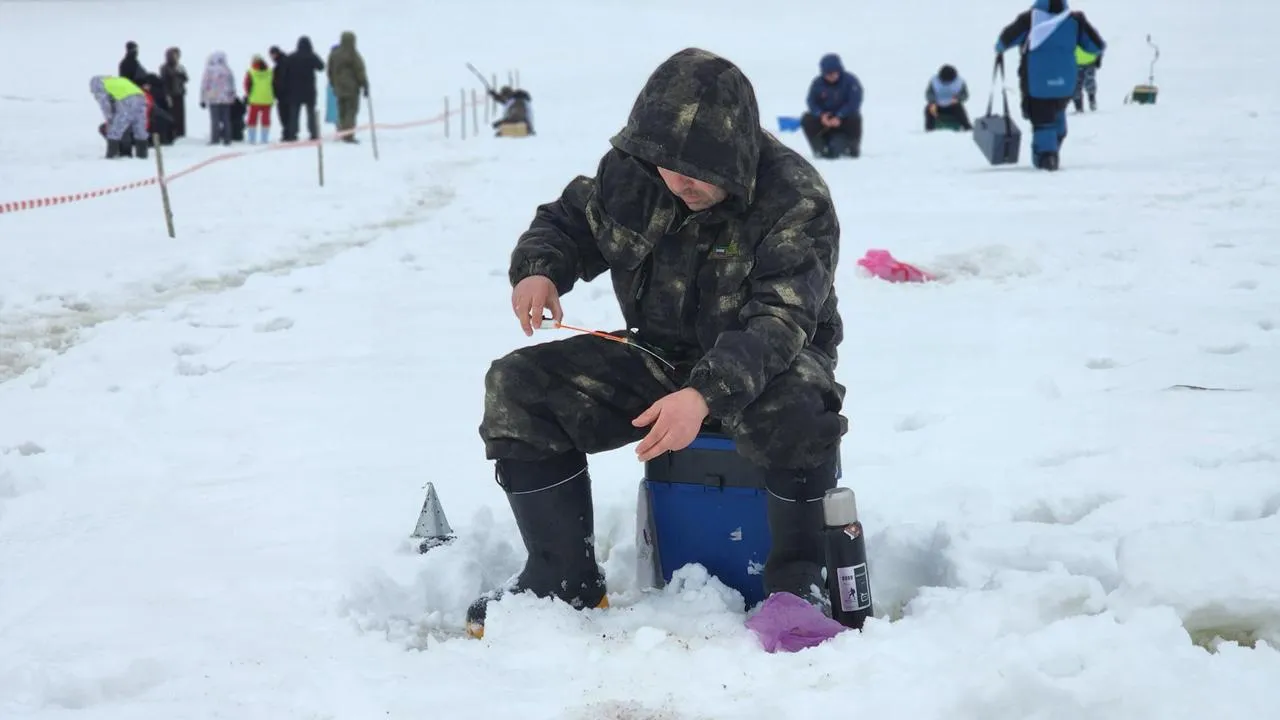МедиаБанк Подмосковья/Екатерина Данилина