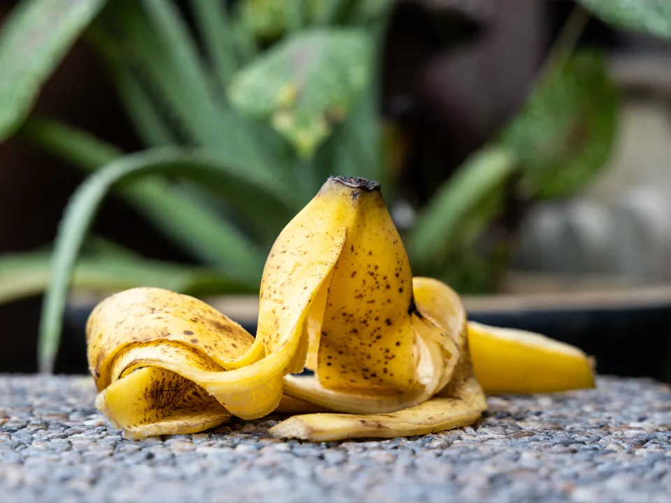 Фото: istockphoto.com