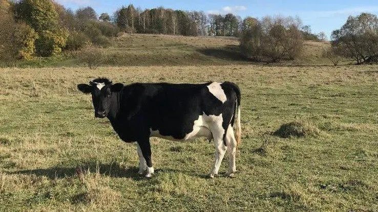 Фото: министерство сельского хозяйства и продовольствия Московской области