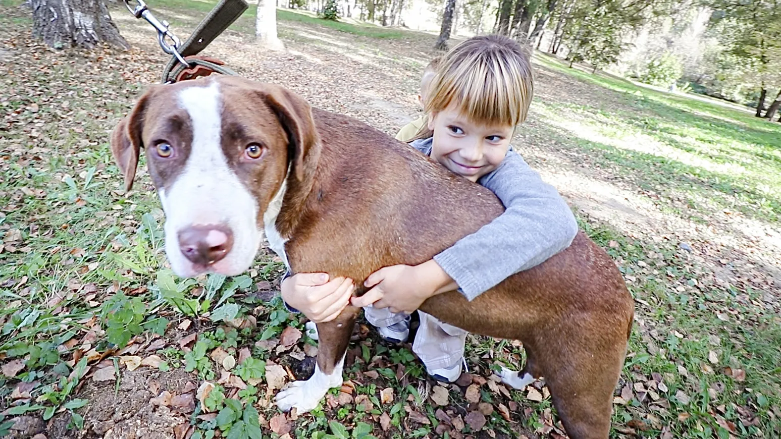 Фото: МедиаБанк Подмосковья/Данила Кирьянов