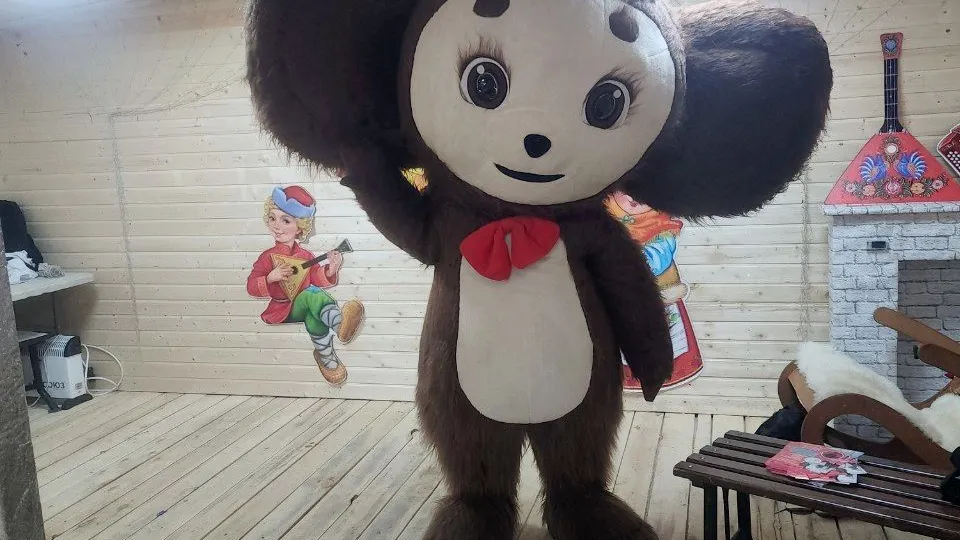 Фото: МедиаБанк Подмосковья/Михаил Раскин