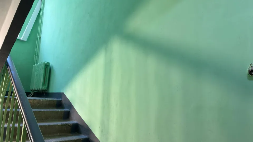 Фото: МедиаБанк Подмосковья/Ксения Афонина