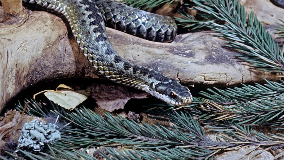 Фото: РИА Новости/И. Мухин