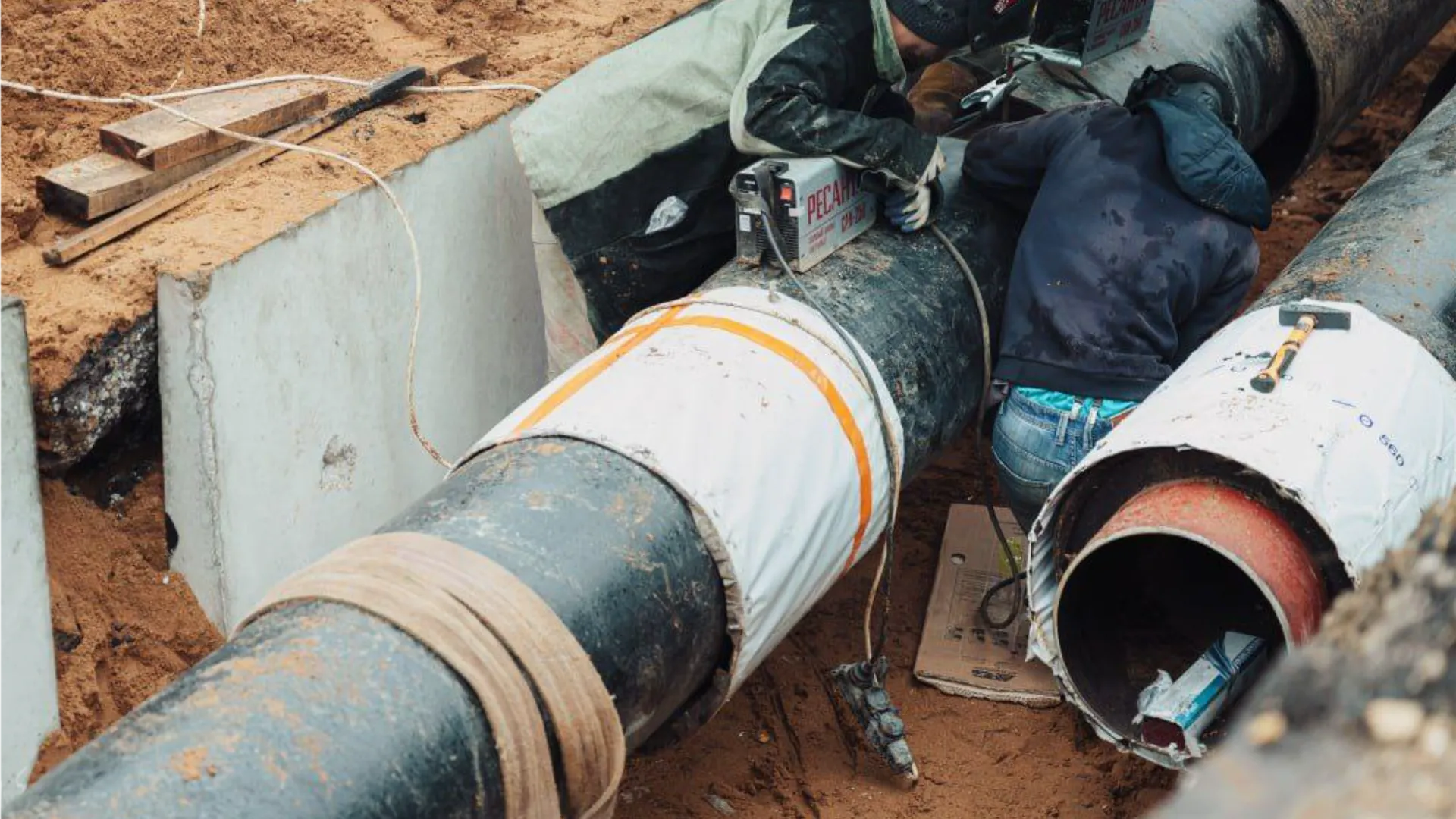 Фото: пресс-служба администрации г. о. Лосино-Петровский