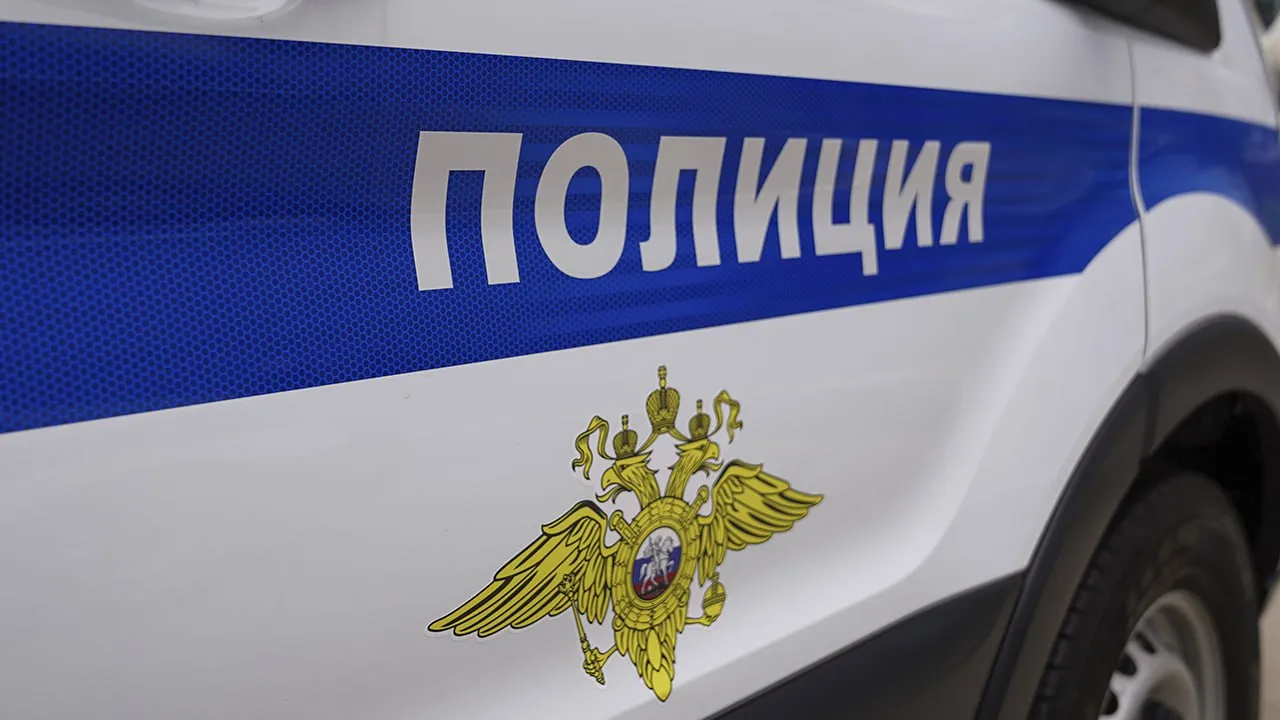Фото: пресс-служба ГУ МВД по Московской области