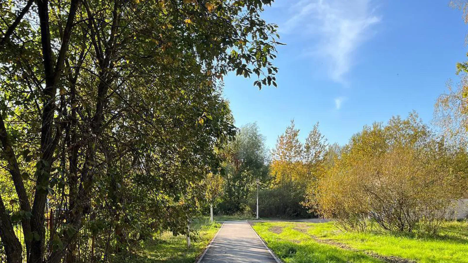 Фото: Пресс-служба администрации г.о. Ступино