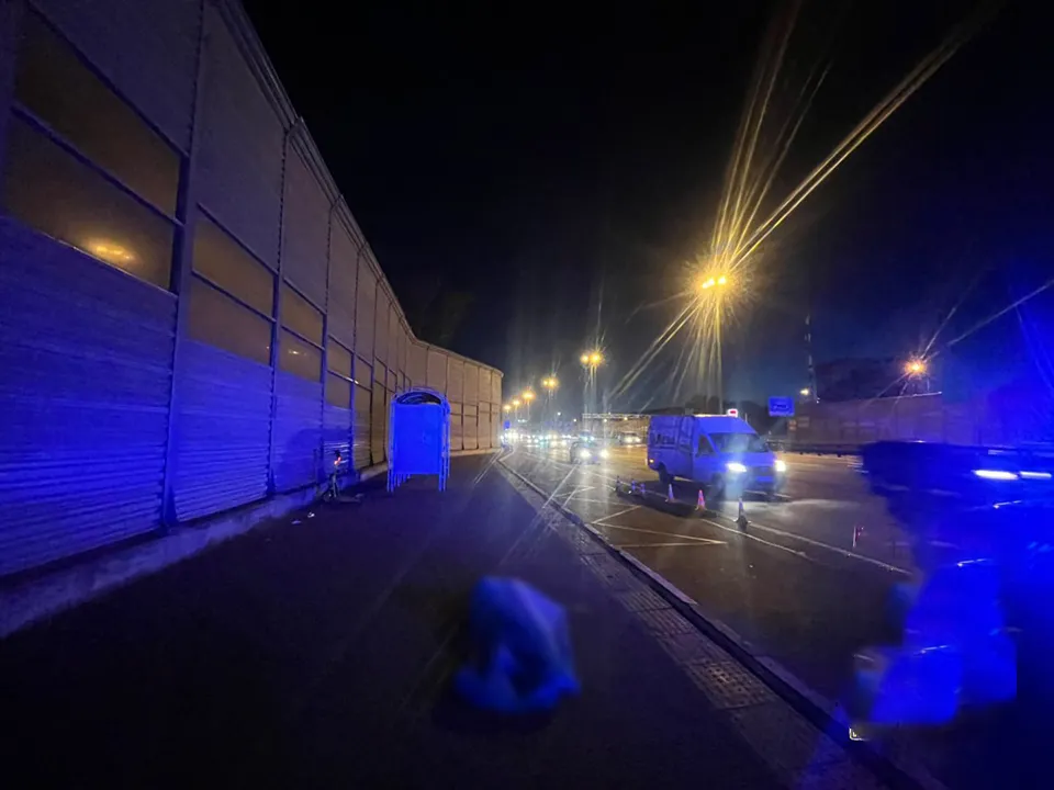 Фото: управление МВД РФ по Московской области