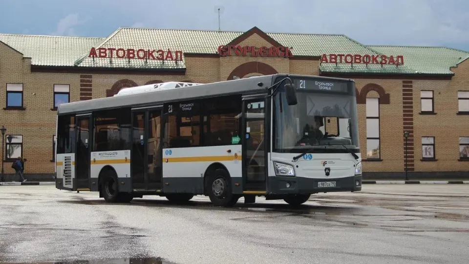 Фото: REGIONS/Василий Тремасов