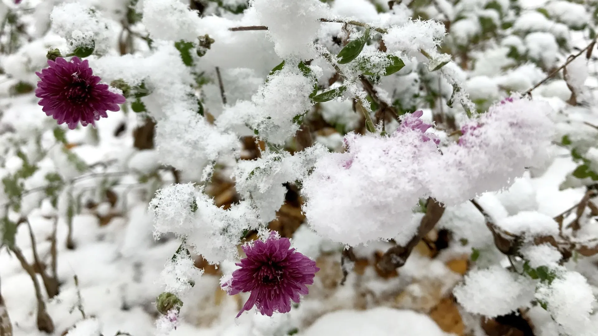 REGIONS/Александр Легкий