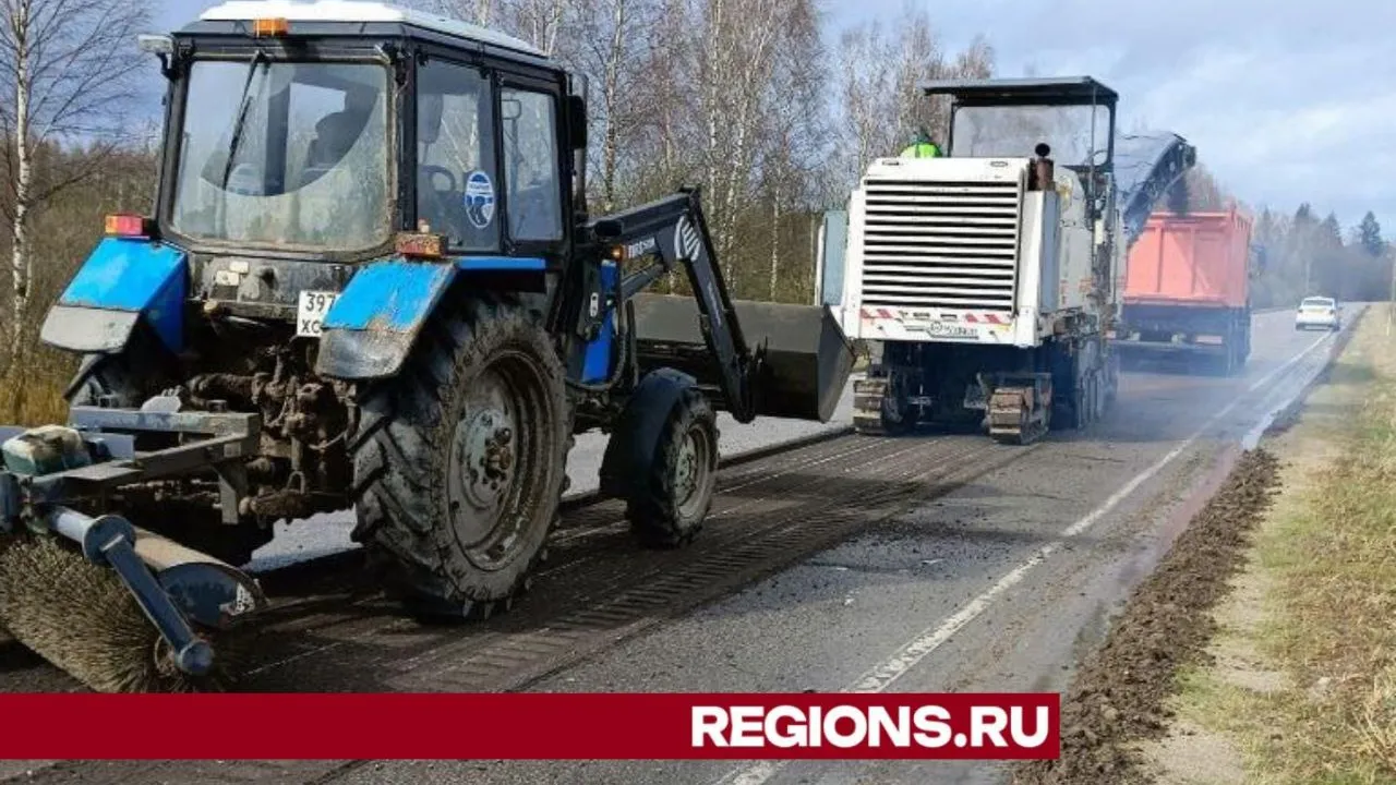 Фото: Евгений Рой
