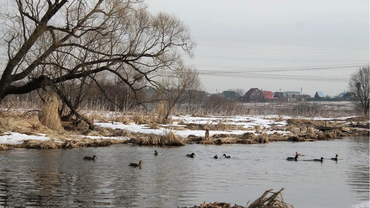 медиасток.рф