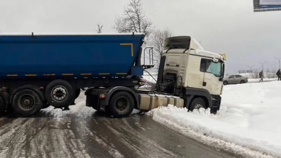 Фото: Подмосковье сегодня