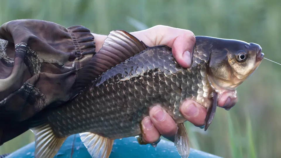 Фото: istockphoto.com