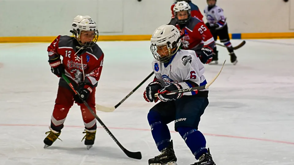 Фото: vk.com/Зарайский ледовый спортивный комплекс