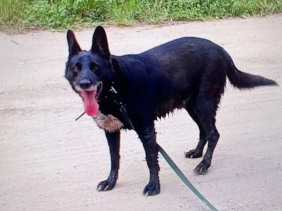 Фото: Екатерина Филиппова