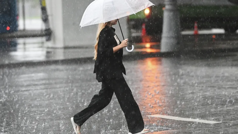 Фото: РИА Новости/Кирилл Каллиников