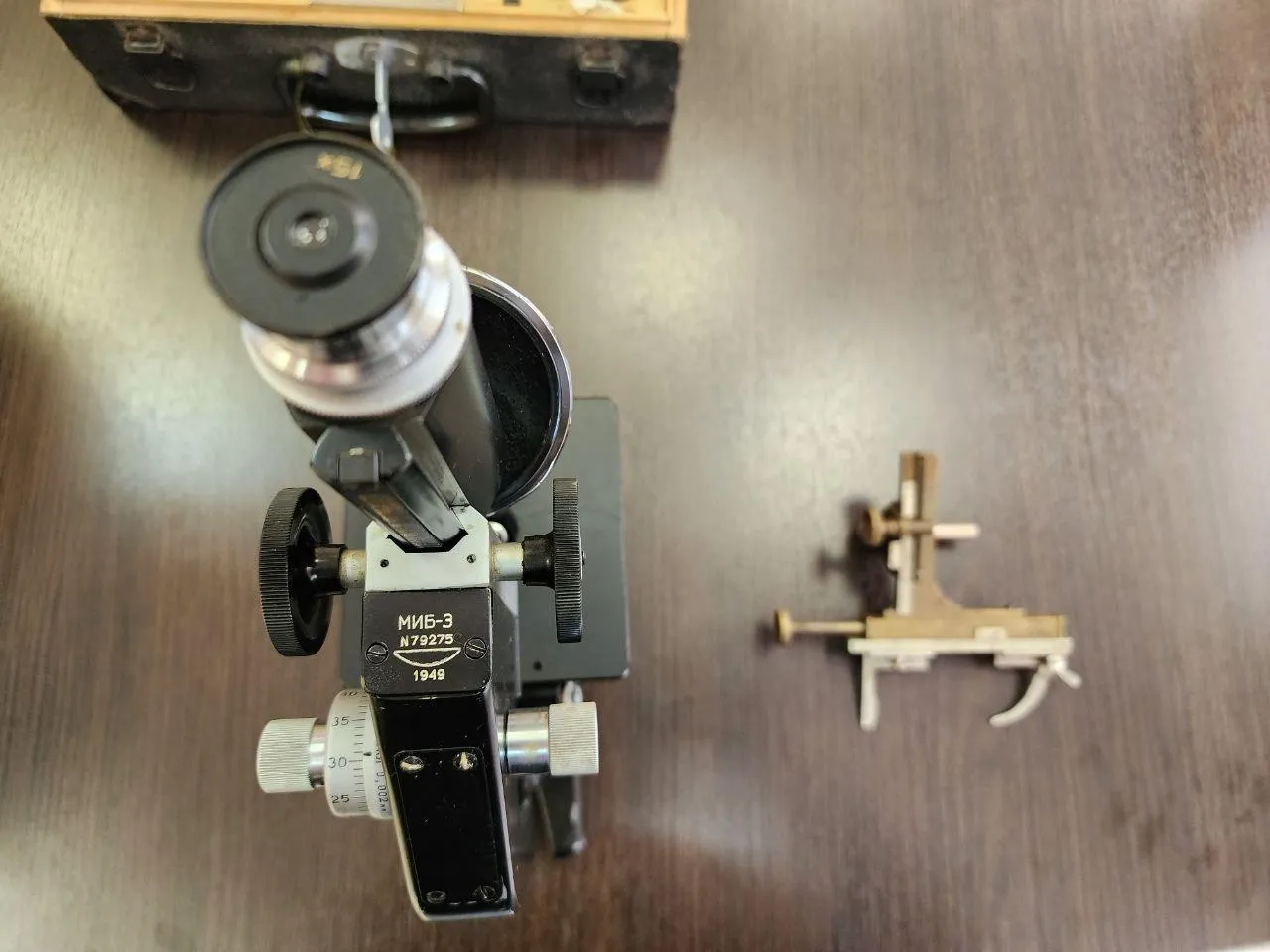 Валерия Тингаева