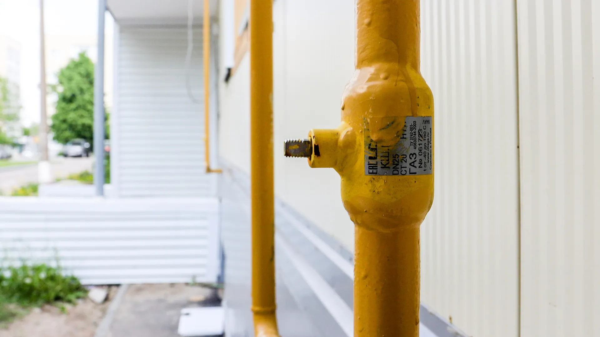 Фото: пресс-служба Администрации г.о. Кашира