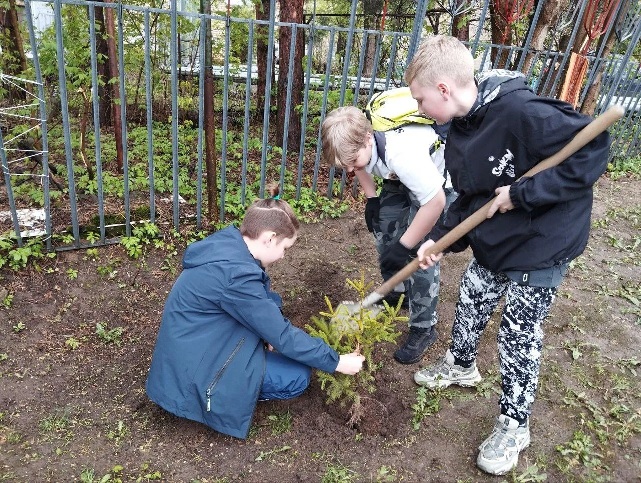 Фото: Анастасия Сараева