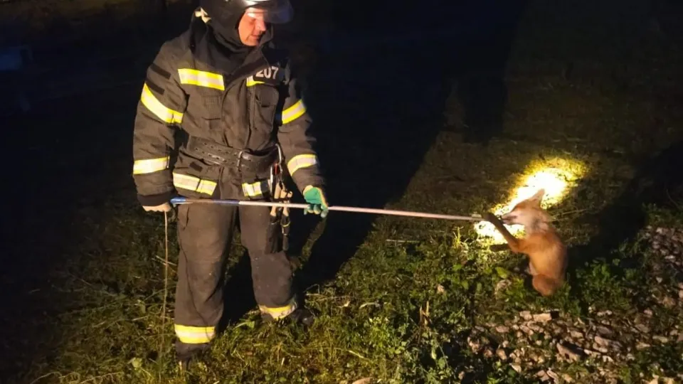 Фото: ГКУ МО «Мособлпожспас»