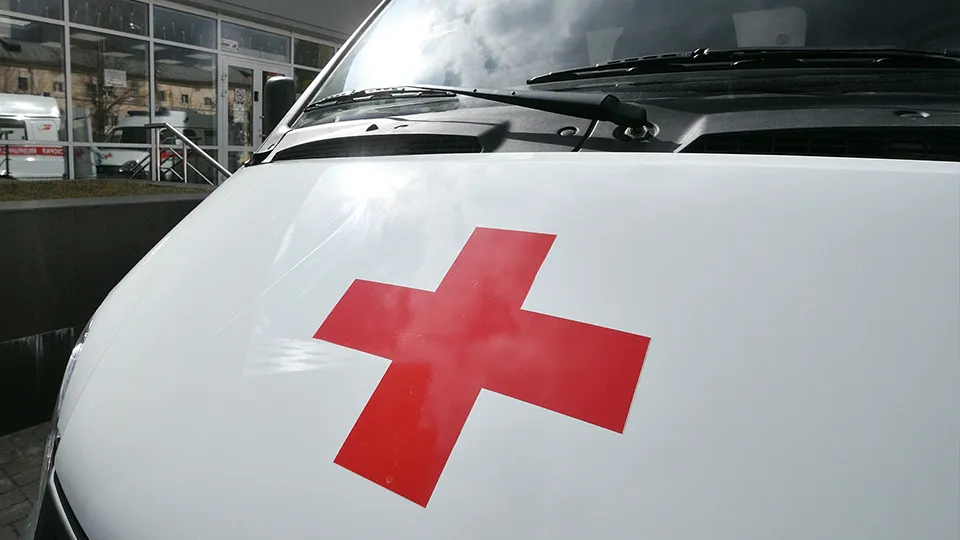 Фото: Сергей Демянюк