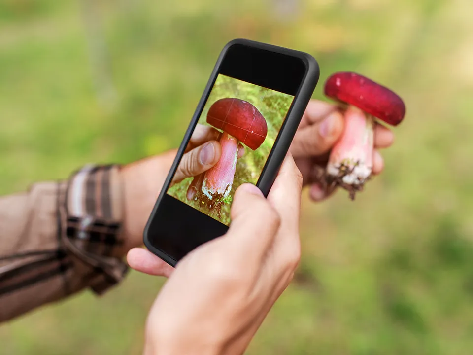 Фото: istockphoto.com