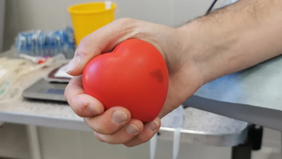 Фото: МедиаБанк Подмосковья/Евгений Лавряшин