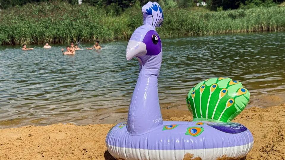 Фото: Ольга Стаферова