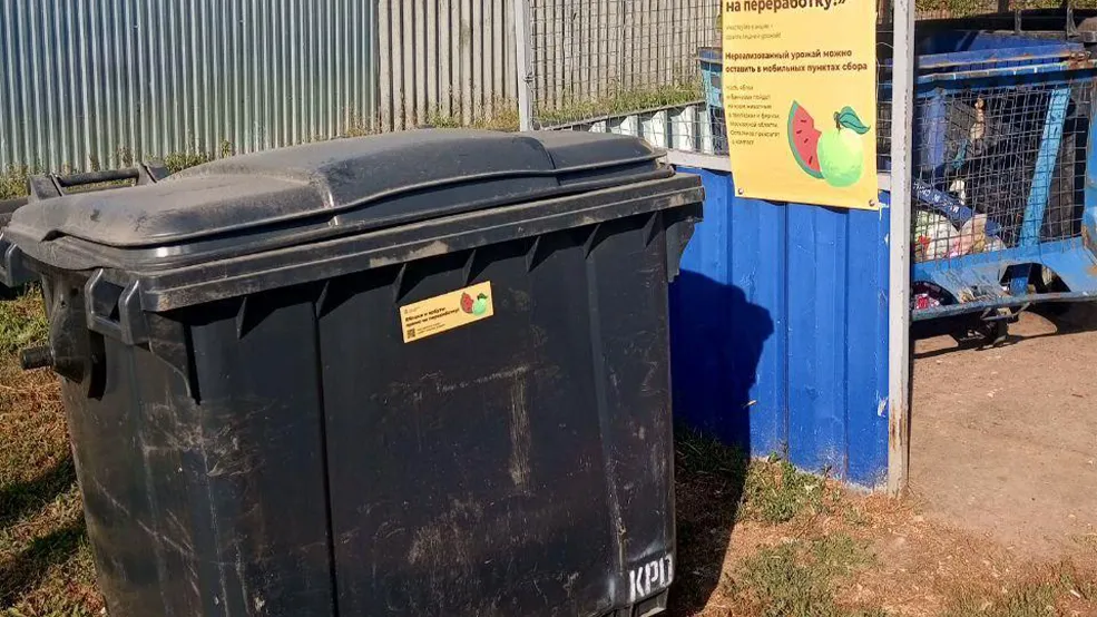 Фото: пресс-служба Администрации г.о. Зарайск