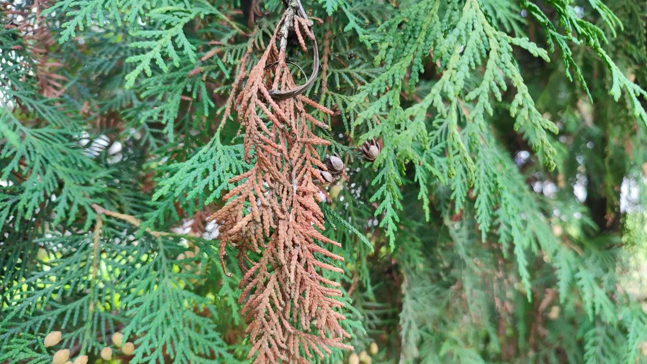 Фото: Елена Забелина