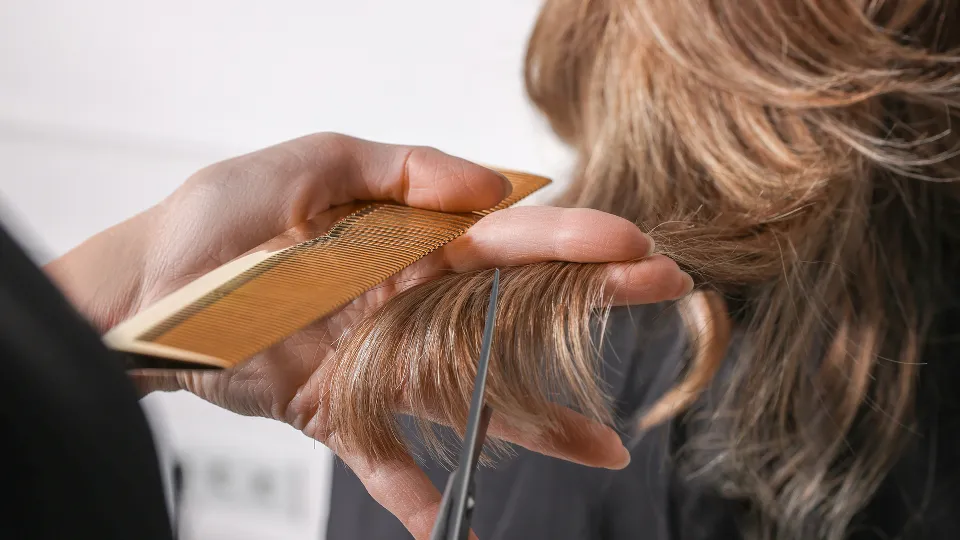 Фото: istockphoto.com/Olga Yastremska