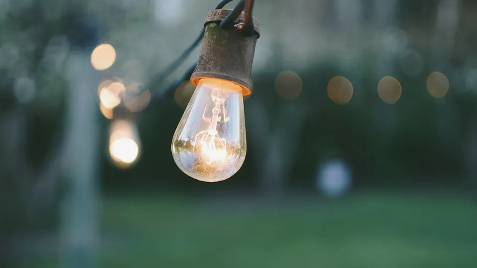 Фото: pxhere.com