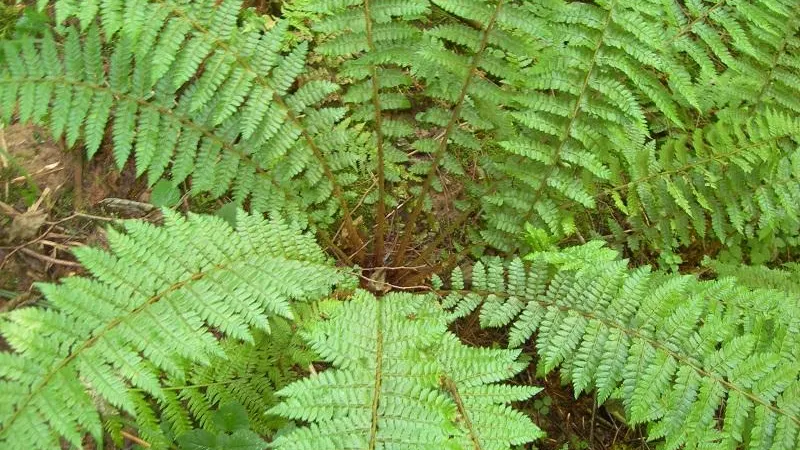 Фото: Е. Суслова