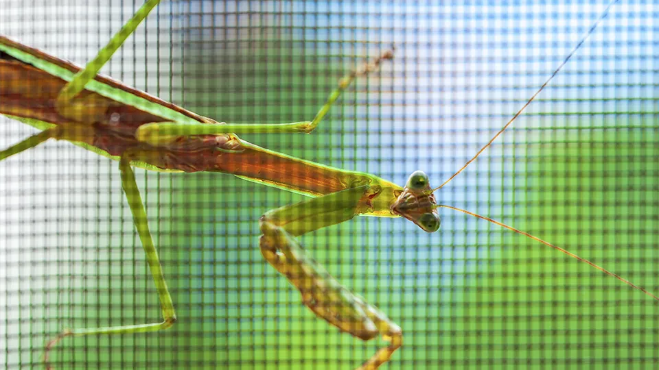 Фото: istockphoto.com