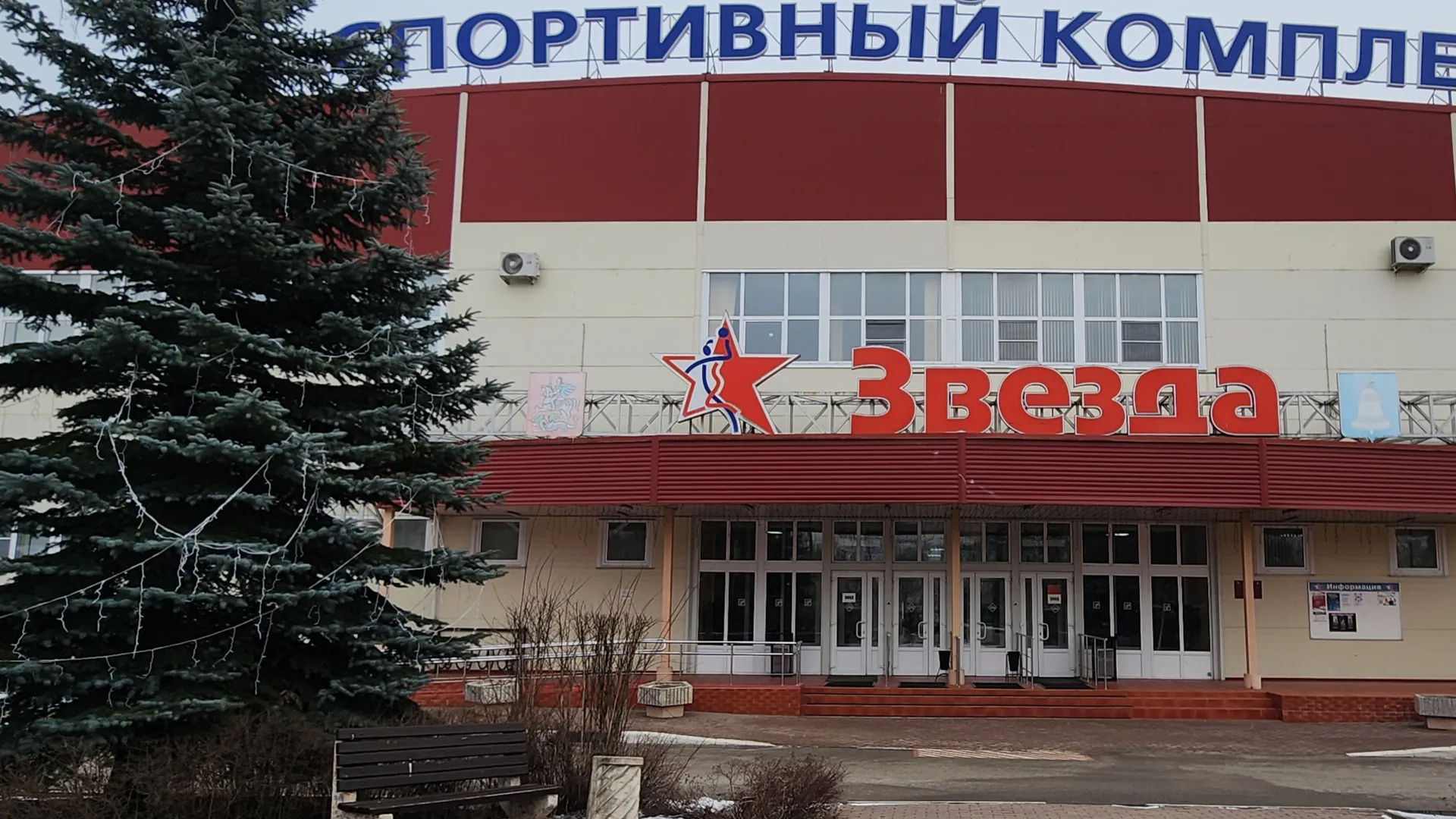 Фото: Хавива Фонина