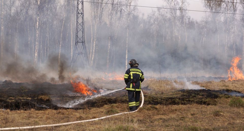 Второй класс пожарной опасности установится в Подмосковье до 29 июня