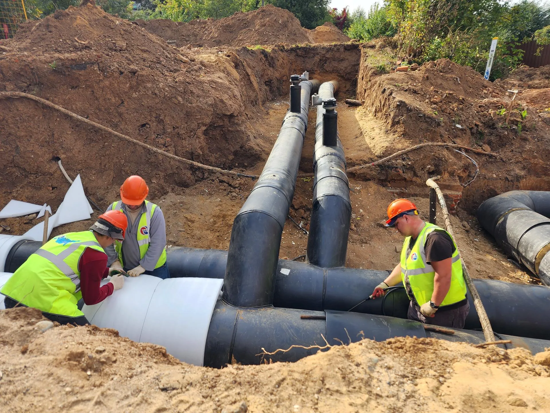 Фото: REGIONS/Наталья Дорошева