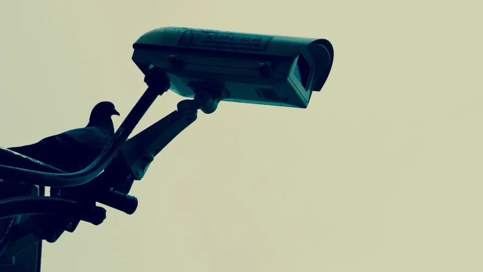 Фото: pxhere.com