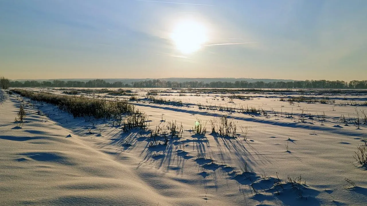 REGIONS/Алексей Селиверстов