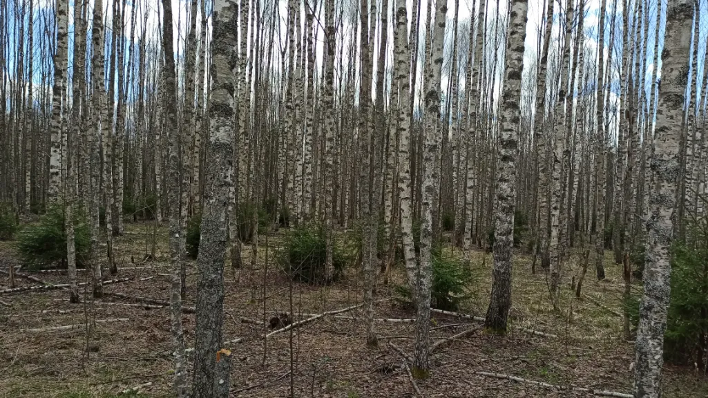 Фото: ЕАСУЗ
