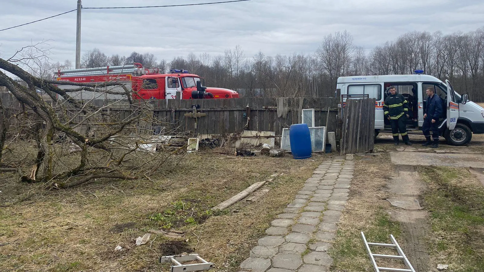 Подмосковные спасатели помогли застрявшему на дереве мужчине