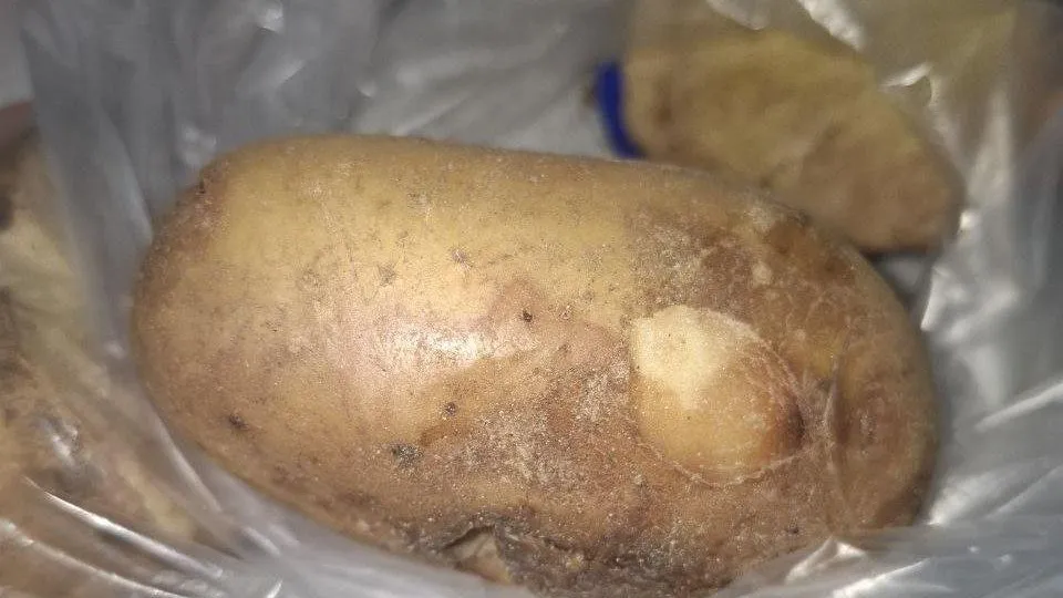 Управление Россельхознадзора по Забайкальскому краю