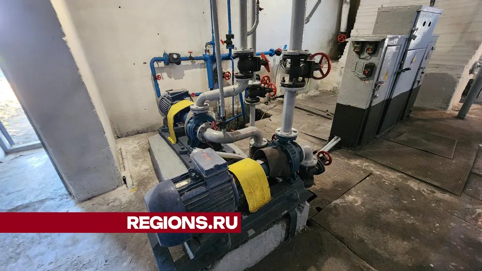 Фото: Дмитрий Беденко