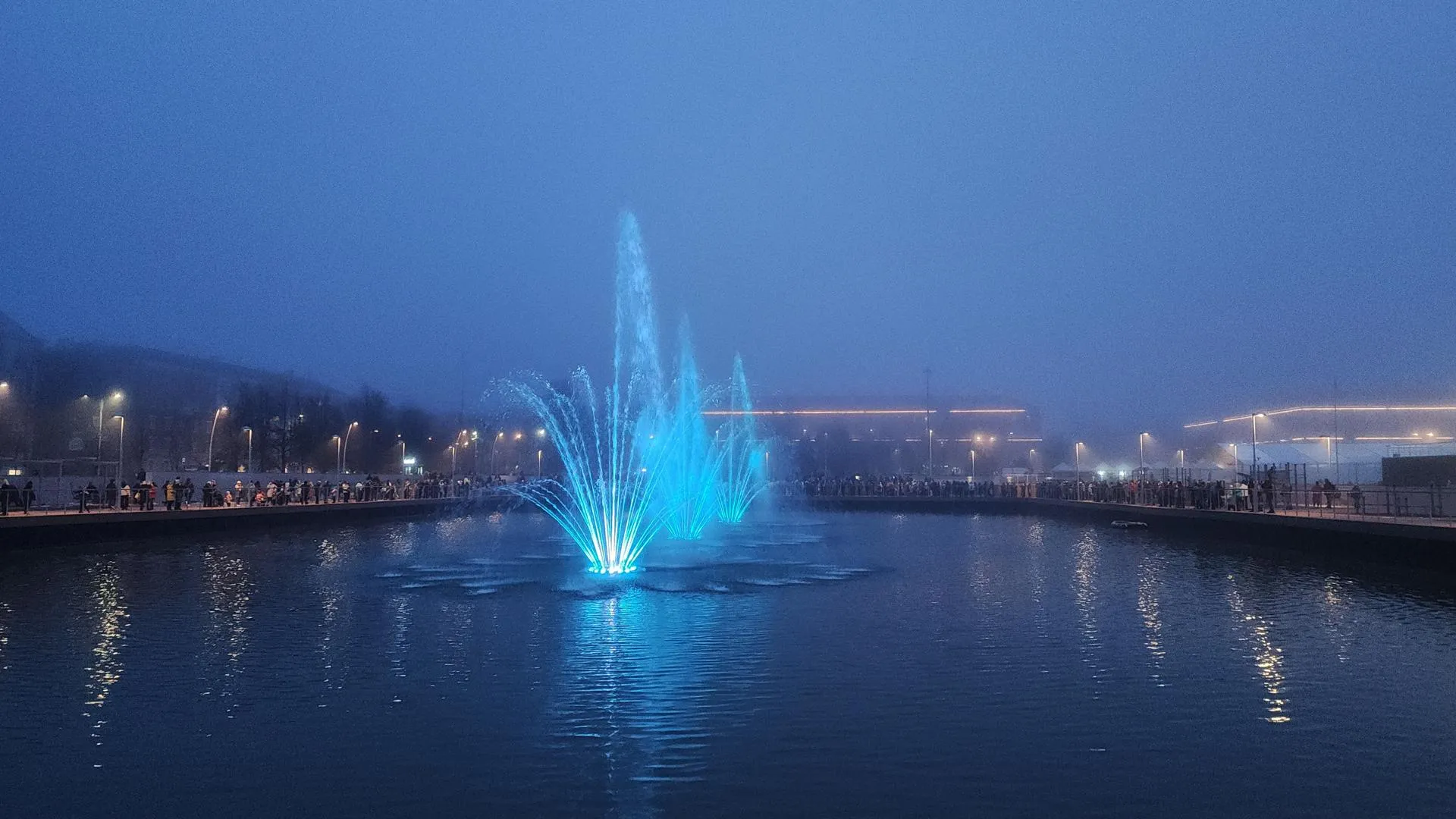 Нина Басистая