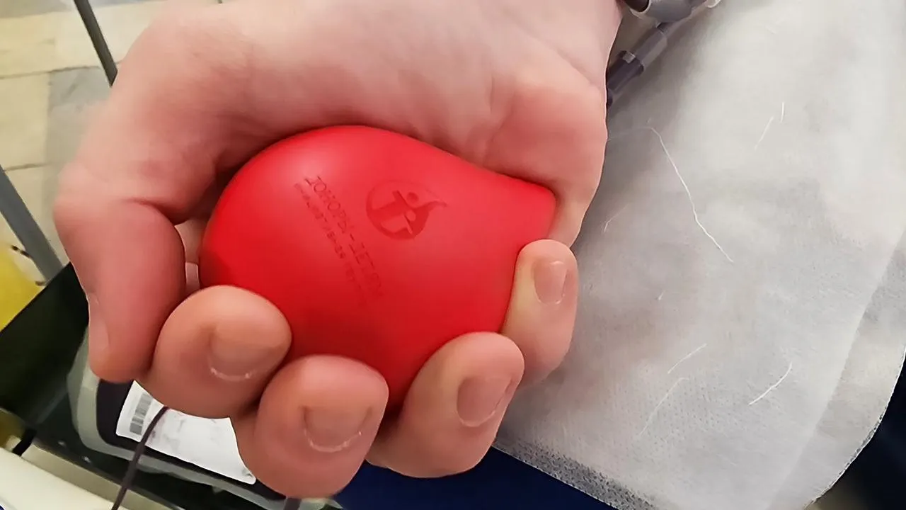 МедиаБанк Подмосковья/Валентина Максимова