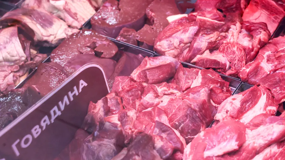 Фото: ТАСС/Антон Новодережкин