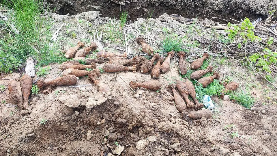 Фото: ГКУ МО «Мособлпожспас»