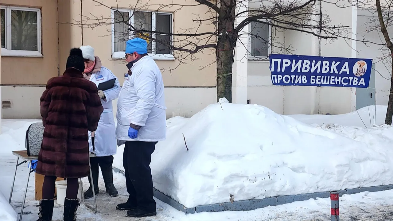 Мария Овчинникова