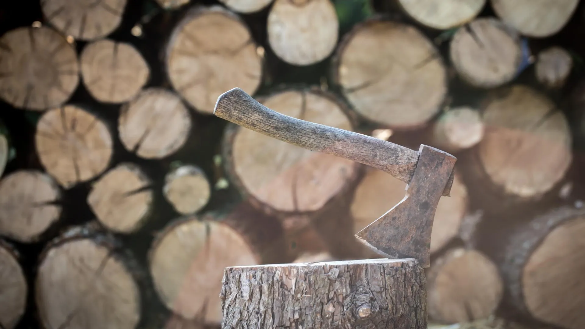 Фото: ru.freepik.com